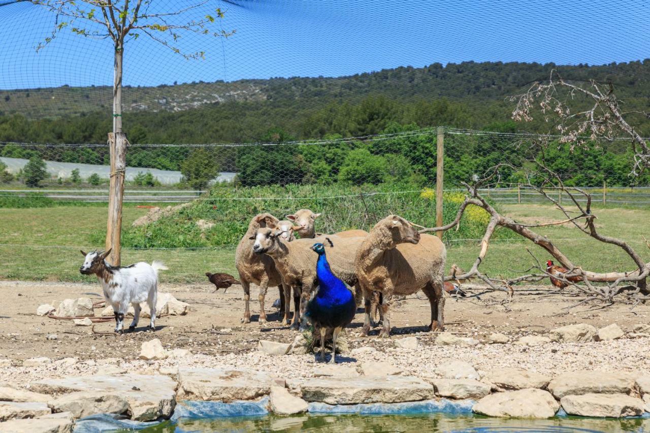 דירות גורדס Lou Mas Li Pitchoun "L'Olivade" מראה חיצוני תמונה